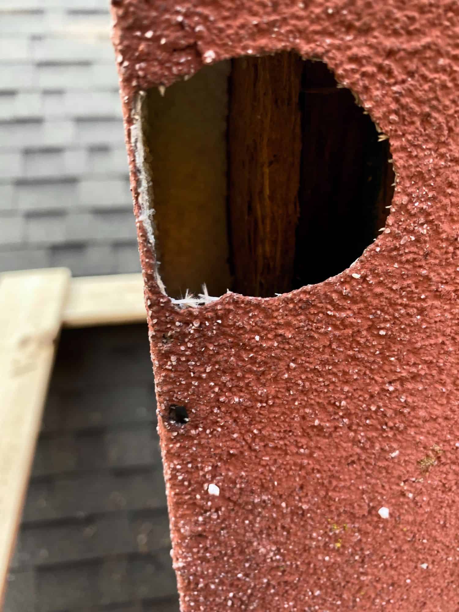 Impact of Woodpeckers on EIFS A Costly Interaction
