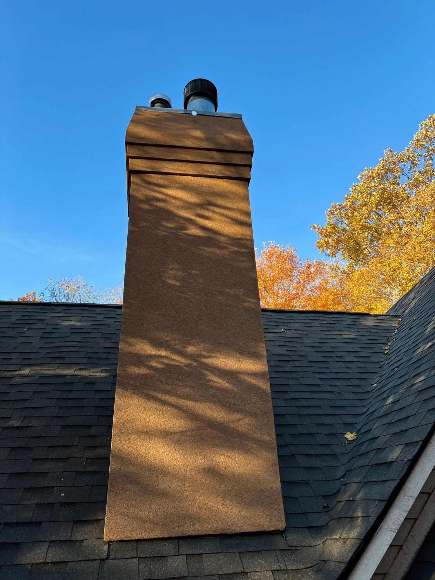 Impact of Woodpeckers on EIFS A Costly Interaction